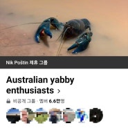호주 가재 동호회 Australian yabby enthusiasts
