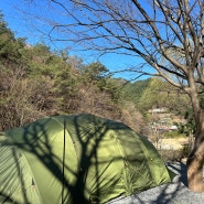 캠핑 5회차 캠린이의 텐트 변천사 | 오르투스s | 아고라쉘터 | 발할 | 터널