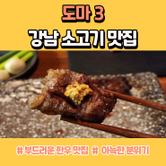 강남 소고기 맛집 도마3