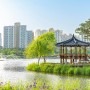 김포 한강신도시 호수공원 - 구래동 공원에서 킥보드타는 김시아 어린이