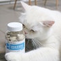 고양이 유산균 간식 동결건조 참치트릿 먹기 좋은 크기 펫푸드궁