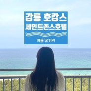 강릉 세인트존스 호텔 이용 꿀팁 (골져스 오션 해피아워, 수영장, 조식)