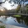 캐나다#핼리팩스 트레킹 Hemlock Ravine Park