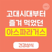 아스파라거스 효능과 부작용 알아보자