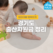 경기도 출산지원금 양육비 지원 한 눈에 / 2023 고양시, 수원, 부천, 시흥시