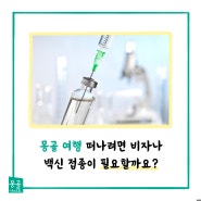 몽골여행 떠나려면 비자나 백신의무접종이 필요할까?