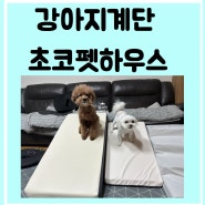 강아지 계단 슬라이드 초코펫하우스 3개 구매 내 돈 내산