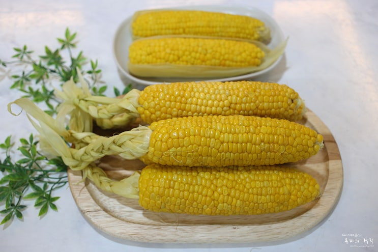 초당옥수수 찌는법 초당옥수수 먹는법 보관 초당옥수수 전자레인지 : 네이버 블로그