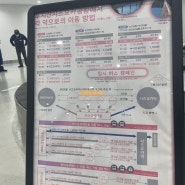 ✈️시즈오카공항 🚐무료셔틀버스 시간표!