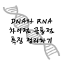 DNA와 RNA의 공통점과 차이점 특징