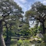일본여행 / 교토 철학의길과 은각사 (지쇼지) 자연속 예쁜 풍경