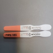(시험관 4차)신선3일배아이식,피검1차,2차 아기집확인까지!