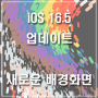 아이폰 새로운 배경화면 추가 - iOS 16.5 업데이트