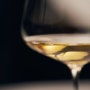 와인의 종류와 맛의 차이점