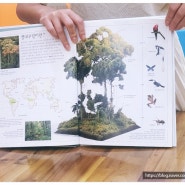 웅진 바나나 로켓 열대 우림 연계 독서 비주얼 박물관