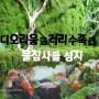 부산 테라리움 물집사들 환장할 디오리움갤러리수족관