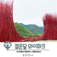 영월 젊은달와이파크 아이랑 주말에 가볼만한곳 (feat. 실내,포토존,할인)