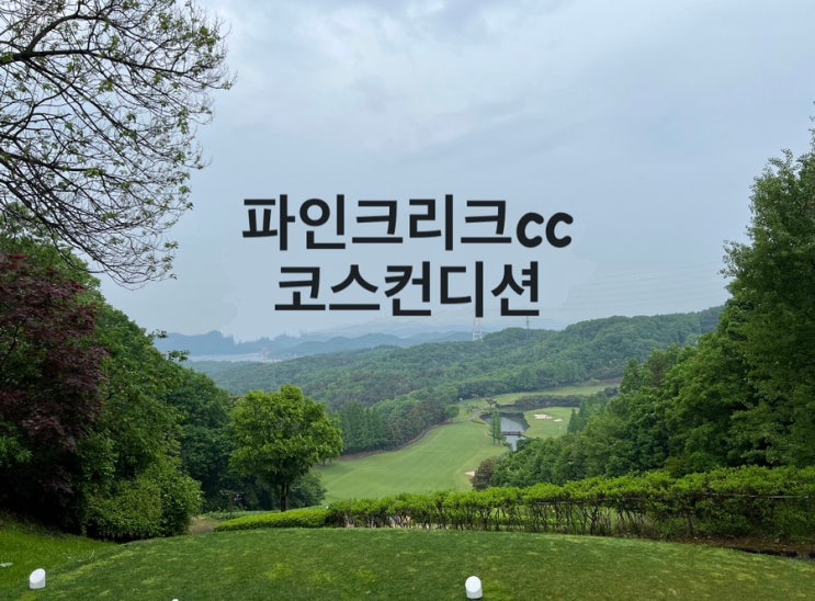 파인크리크Cc 방문후기 ; 23년 5월 코스컨디션 : 네이버 블로그