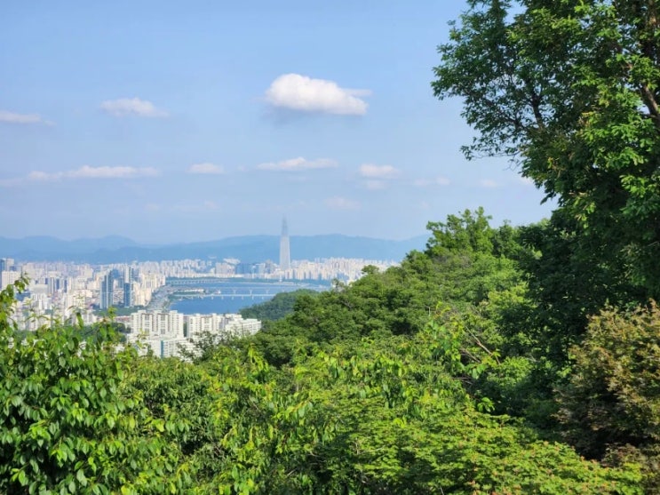 쉼 : 네이버 블로그