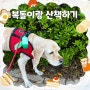 부산강아지산책 명지너울공원+명지스타필드펫파크
