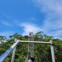 [브루나이-8] 열대우림의 진수, 템부롱 국립공원