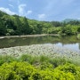 광릉 국립수목원 예약 주차 입장료 여름에도 걷기 좋은 곳 서울 근교 갈 만한 곳