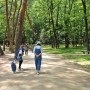효성으로 빚어진 아름다운 왕릉 화성시 융건릉 숲길을 걷다!