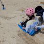2023 부산 해운대 해수욕장 모래축제 체험 이벤트 (전시기간 ~2023년 6월 6일)