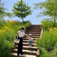 【함안여행】 아기랑 갈만한곳 봄꽃명소 악양생태공원/산인길/입곡군립공원