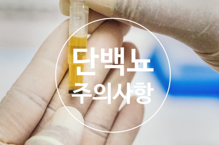 단백뇨 요단백을 일으키는 원인과 주의사항! : 네이버 블로그