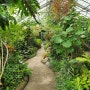 토론토 다운타운 - 무료 식물원 (앨런정원)