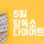 5일 당독소다이어트 진짜 살빠질까?