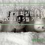 공인재무설계사 & 공인중개사 머니닥터 유용현팀장 자산관리(2023년 5월 기준)