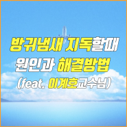 방구냄새 지독 원인과 해결방법(feat. 이계호 교수님)