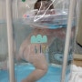 [사용기] 아이블린 신생아 아기수영장