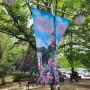 로즈아워페스타 | 2023올림픽공원 장미광장 장미축제 | 꽃 한가득