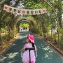 신정호 산책 & 카페(천안아산 아이와 가볼만한 곳)