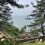 서해, 대천에 이런 곳이? 너무 예쁜 한국식 정원 섬 - 죽도 상화원