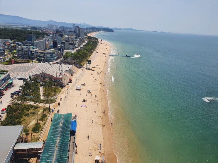 대천 머드축제 