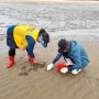 인천섬여행 자월도2박3일 제2일 갯벌체험 바지락캐기 #페이지