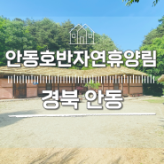 [경북 안동] 공립 안동호반자연휴양림 이용후기 및 월영교 문보트이용
