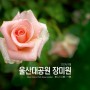 [울산] 울산대공원 장미원 / 5월