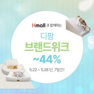 5.22~5.28 디팡X현대몰 브랜드위크 ~44%