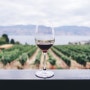 와인 맛의 기본 - 당도, 산도, 타닉도의 이해와 선택하는 방법