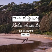 # [호주 키올로아] 호주 여행 +Day13 : 키올로아 일출 & 일몰, 야생 캥거루, 호주 국립공원, 머라마랑 비치, 디포 비치 (하루종일 대자연 즐긴날 !)
