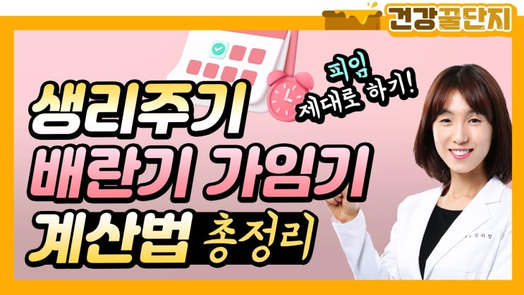 정상 생리주기, 생리기간은? 임신 확률 높은 배란기·가임기 계산법! : 네이버 블로그
