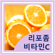 리포좀 비타민C로 체내 흡수율을 높이자 (리포솜, 리보솜)