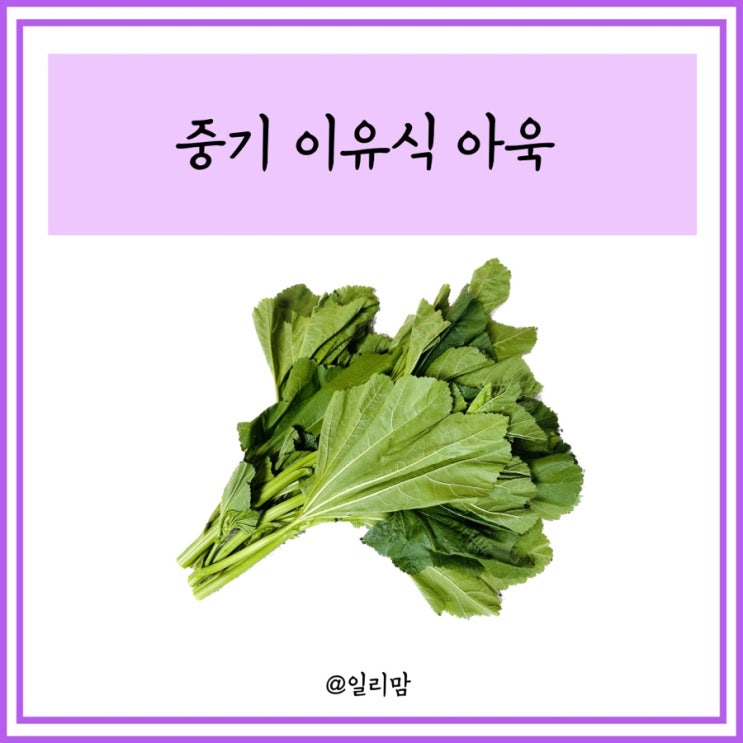 중기 이유식 아욱 효능 손질법 제철 식재료 활용하기 : 네이버 블로그