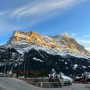 쌉P의 신혼여행 2탄: 스위스 허니문 일정 공유(스위스 IN - 파리 OUT)