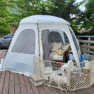 강아지 동반 가능 캠핑장 - 남양주별빛캠핑장, 강아지랑 2박3일 캠핑하기